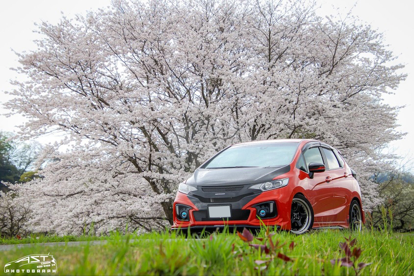 ホンダフィットと満開の桜