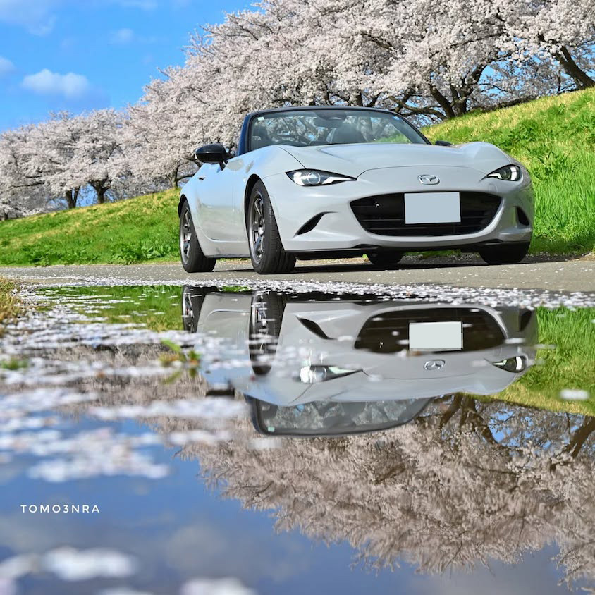 マツダロードスターと桜並木