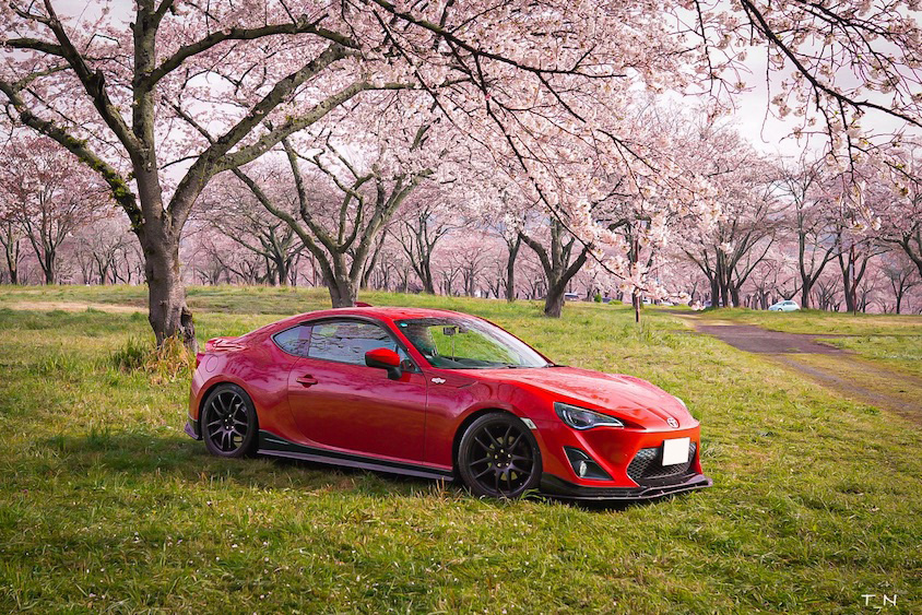 トヨタ86と桜並木01