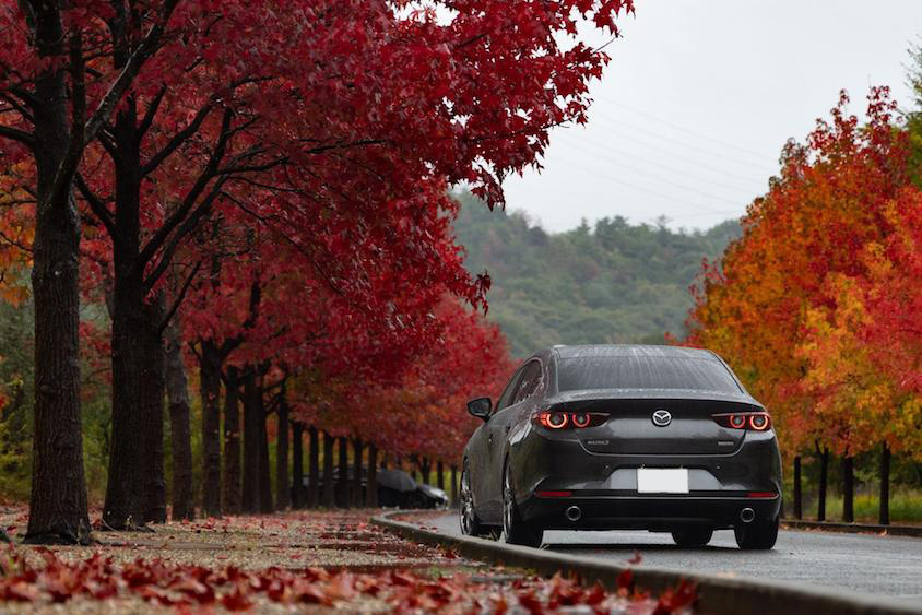MAZDA3と紅葉並木
