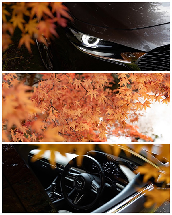 MAZDA3と紅葉イメージ
