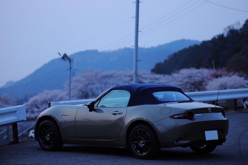 マツダロードスターと桜並木