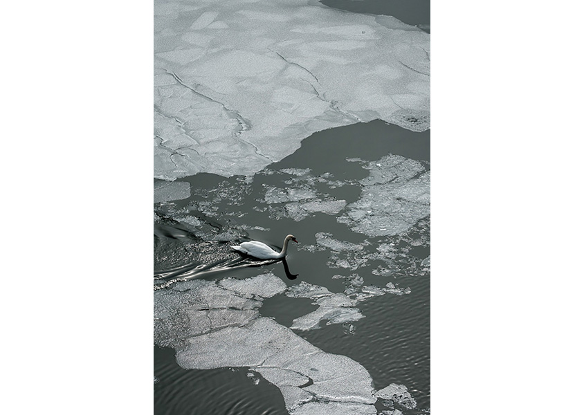 浦カメラマン撮影の作例 「旅支度」
