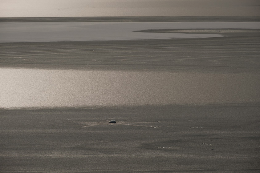 今浦カメラマン撮影の作例 「光と風の描き手」
