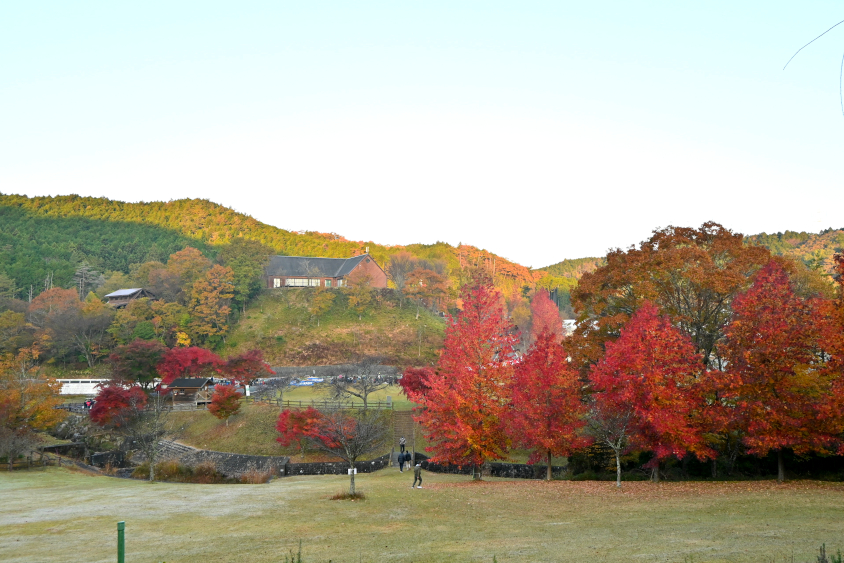 紅葉に染まる鬼久保ふれあい広場