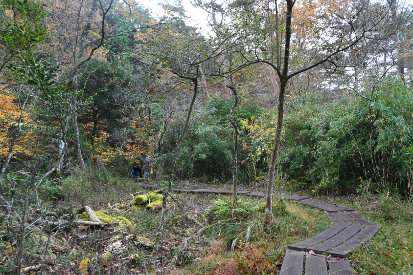 鬼久保ふれあい広場にある新城市ミズバショウ園