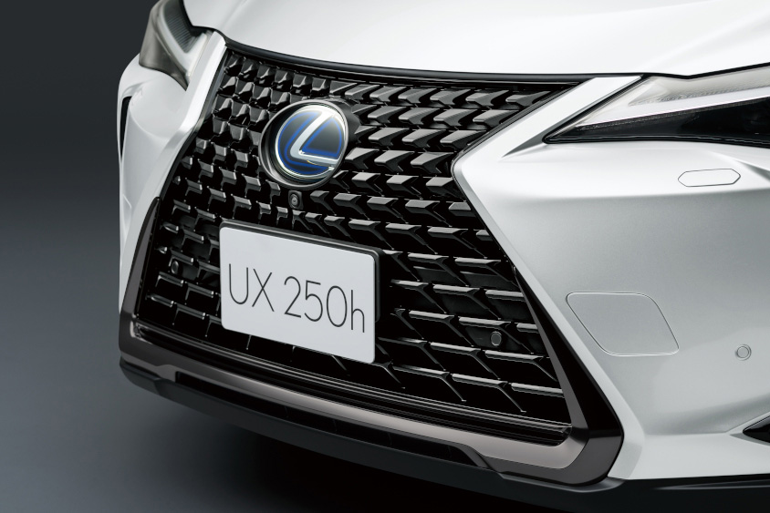 UX250h 特別仕様車“Elegant Black” スピンドルグリル＆グリルインナー