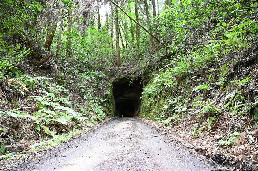 鮫ヶ浦に通じる大鮫隧道