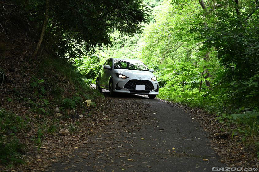 鮫ヶ浦に続く森の道