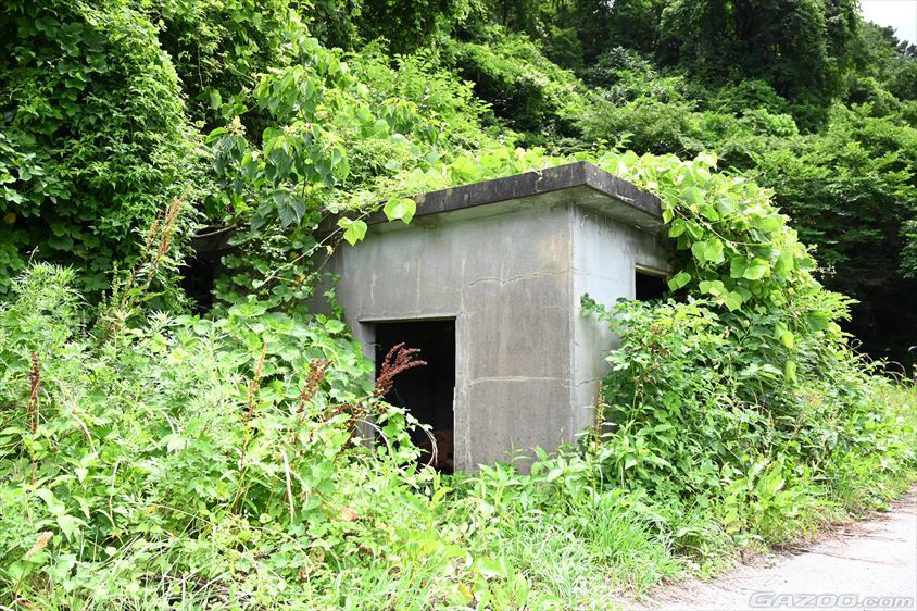 鮫ヶ浦水曜日郵便局の建物