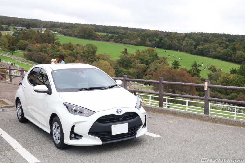 山梨県立まきば公園の牧場とヤリス