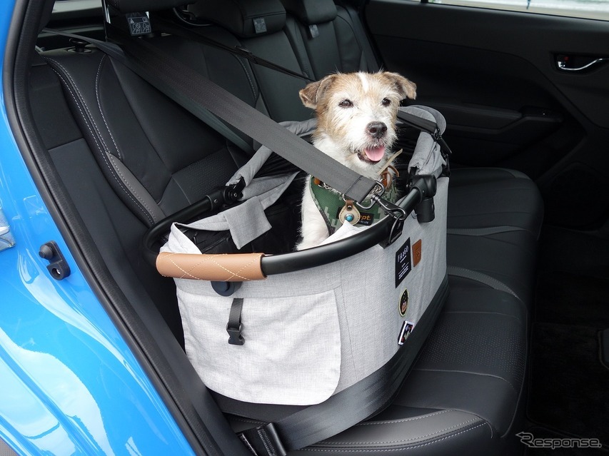 愛犬とドライブするのに役立つクルマの機能＆装備とは？ その1