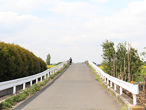 黄色もある？ 意外と知らないガードレールの種類と役割