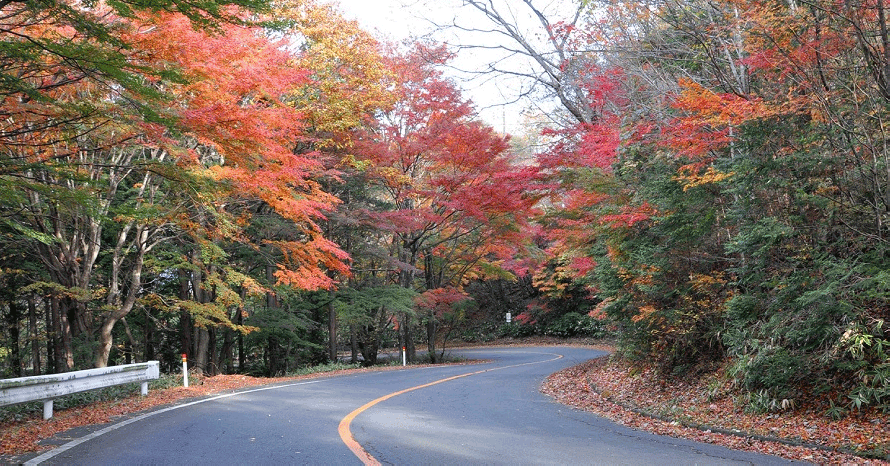 標高1000mの観光道路 紅葉が見頃になる日塩もみじラインをドライブ 栃木県那須塩原市 トヨタ自動車のクルマ情報サイト Gazoo