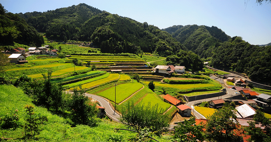 農業が育む田園風景！のどかな棚田や杉並木の参道へドライブ 島根県