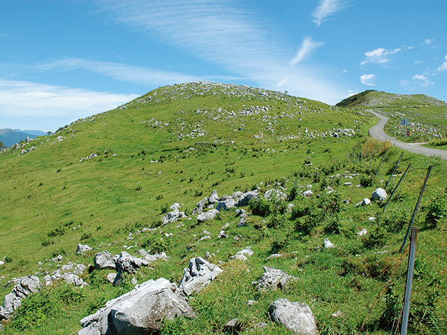 愛媛・高知の県境 姫鶴平、五段高原ドライブルート  トヨタ自動車の 