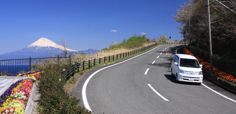 静物 スリクソン ZXi フェアウェイウッド VENTUS ZXi 6(フェアウェイウッド