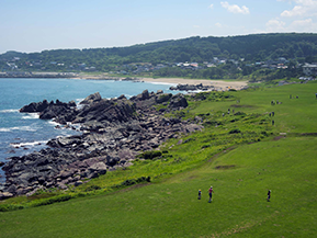 myg52 油彩画 青森県八戸市 種差海岸 myg52 油彩画 青森県八戸市 種差