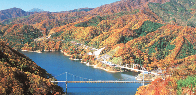 夢のかけはしを渡り 紅葉に染まる九頭竜湖沿いをドライブ 福井県大野市 トヨタ自動車のクルマ情報サイト Gazoo 夢のかけはしを渡り 紅葉に染まる九頭竜湖沿いをドライブ 福井県大野市 トヨタ自動車のクルマ情報サイト Gazoo