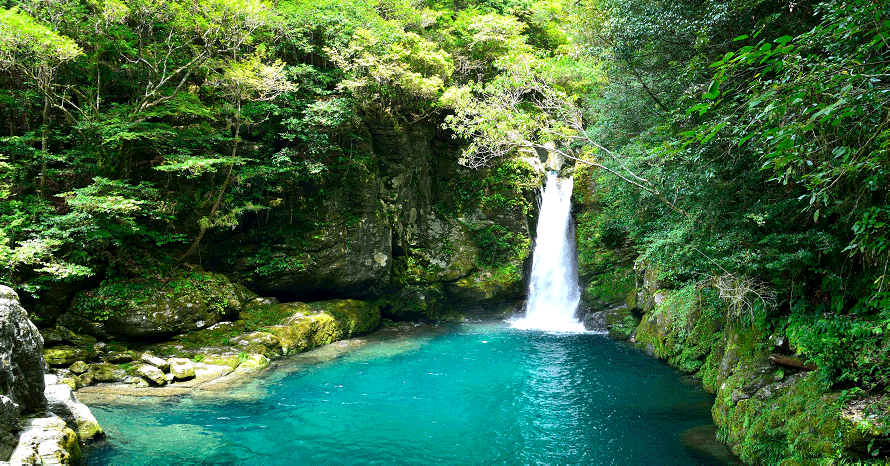 奇跡の清流!仁淀ブルーで知られる仁淀川支流の「にこ淵」へドライブ 高知県いの町 | クルマ情報サイトーGAZOO.com
