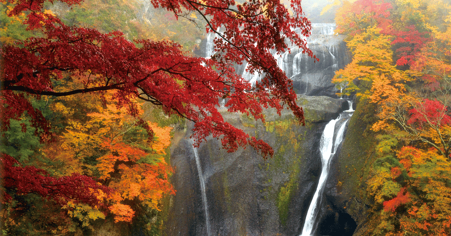 日本三名瀑のひとつ！袋田の滝の紅葉とイルミネーションを見に行こう