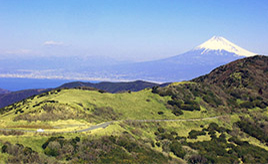 thumb.jpg?la=ja-JP&rev=