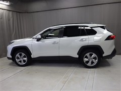 RAV4 HV G 4WD *