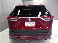 RAV4 G 4WD