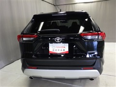 RAV4 アドベンチャー 4WD