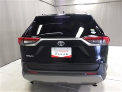 RAV4 G Z-PKG 4WD *