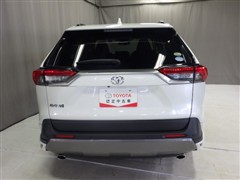 RAV4 G 4WD