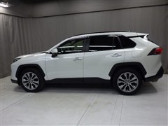 RAV4 G Z-PKG 4WD