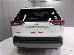RAV4 G Z-PKG 4WD