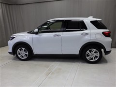 ライズ G 4WD
