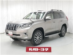 ランドクルーザープラド TZ-G