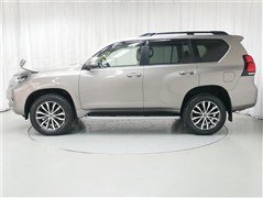 ランドクルーザープラド TZ-G