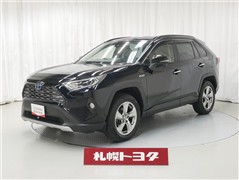 RAV4 ハイブリッドG