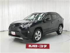 RAV4 G