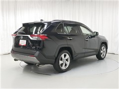 RAV4 G