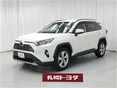 RAV4 G
