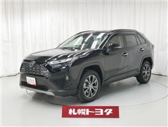 RAV4 ハイブリッドG