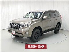 ランクルプラド TXアルジェントC