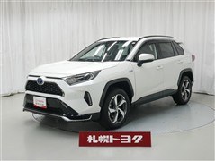 RAV4 PHV G