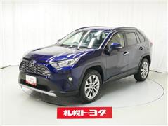 RAV4 G Zパッケージ