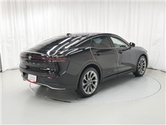 クラウンCO Gアドバ レザーPK