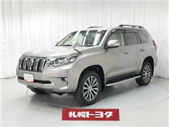 トヨタ ランクルプラド TZ-G