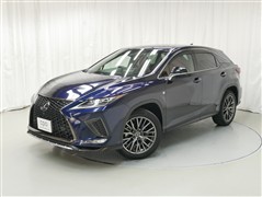 RX300 F-SPORT