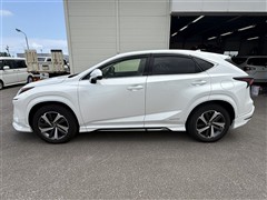 NX300h Iパッケージ