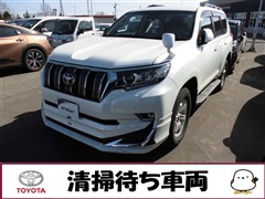 ランクルプラド TZ-G