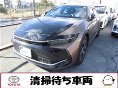 クラウン CO Gアドバ レザーP